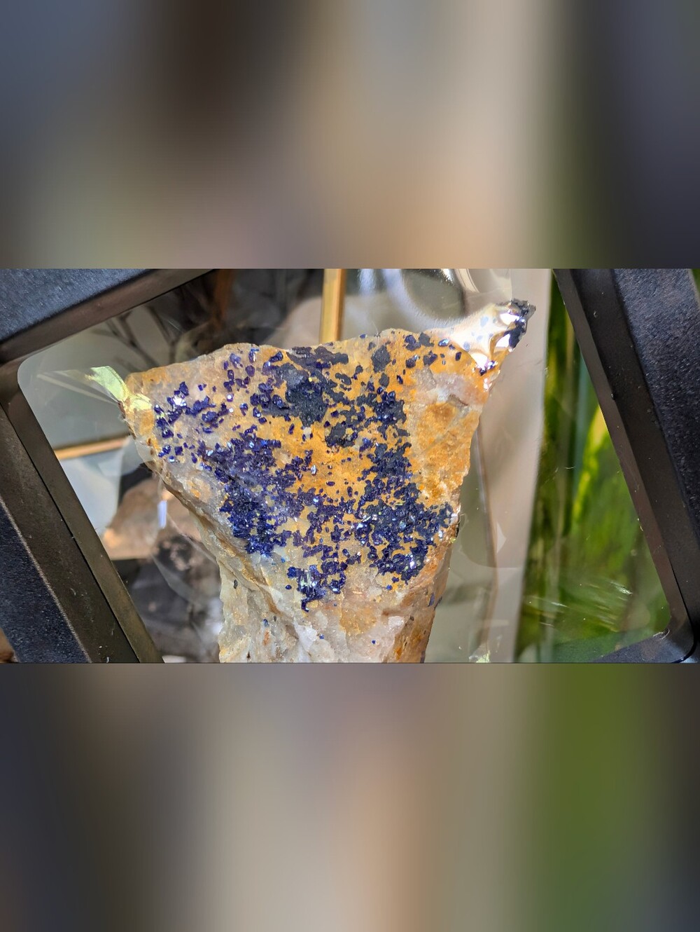 Moroccan Azurite & Malachite Crystal Cluster in Display Case